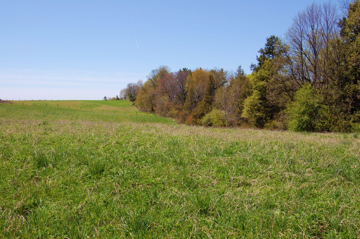 Luxury real estate and Country Homes for sale including horse farms and property in the Caledon and King City areas near Toronto