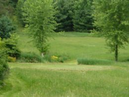 The Farm - Up Country, Hockley Valley, Ontario, Canada - Country homes for sale and luxury real estate including horse farms and property in the Caledon and King City areas near Toronto