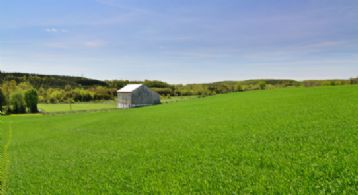 Looking South - Country homes for sale and luxury real estate including horse farms and property in the Caledon and King City areas near Toronto