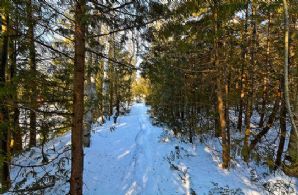 Thomson Lake Paradise, Erin, Ontario, Canada - Country homes for sale and luxury real estate including horse farms and property in the Caledon and King City areas near Toronto