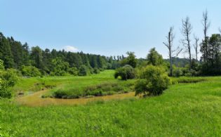 Humber River - Country homes for sale and luxury real estate including horse farms and property in the Caledon and King City areas near Toronto