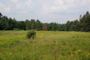 North Field - Country homes for sale and luxury real estate including horse farms and property in the Caledon and King City areas near Toronto