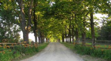 Tree-lined Drive - Country homes for sale and luxury real estate including horse farms and property in the Caledon and King City areas near Toronto