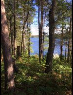 38 Webber Island, Georgian Bay, Ontario - Country homes for sale and luxury real estate including horse farms and property in the Caledon and King City areas near Toronto