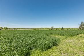 Brook Farm, East Garafraxa, Ontario - Country homes for sale and luxury real estate including horse farms and property in the Caledon and King City areas near Toronto