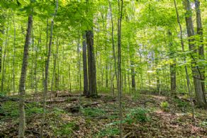 Dufferin Estate Lot - Country Homes for sale and Luxury Real Estate in Caledon and King City including Horse Farms and Property for sale near Toronto