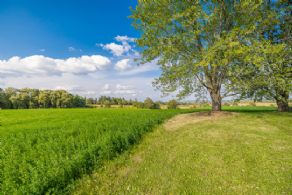 Original 8th Concession Estate, King Township, Ontario - Country homes for sale and luxury real estate including horse farms and property in the Caledon and King City areas near Toronto