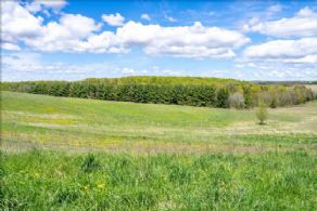 Tottenham Estate Property , Ontario - Country homes for sale and luxury real estate including horse farms and property in the Caledon and King City areas near Toronto