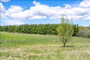 Tottenham Estate Property , Ontario - Country homes for sale and luxury real estate including horse farms and property in the Caledon and King City areas near Toronto