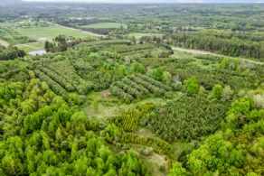 Forest Plantation - Country homes for sale and luxury real estate including horse farms and property in the Caledon and King City areas near Toronto