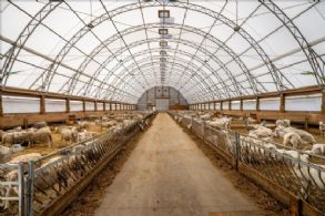Investment Farmland Near Schomberg, New Tecumseth, Ontario - Country homes for sale and luxury real estate including horse farms and property in the Caledon and King City areas near Toronto