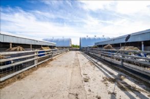 Investment Farmland Near Schomberg, New Tecumseth, Ontario - Country homes for sale and luxury real estate including horse farms and property in the Caledon and King City areas near Toronto