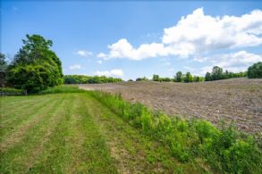 Farmed Fields - Country homes for sale and luxury real estate including horse farms and property in the Caledon and King City areas near Toronto