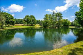 Spring-fed Pond - Country homes for sale and luxury real estate including horse farms and property in the Caledon and King City areas near Toronto