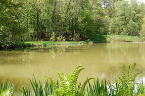 Pond - Country homes for sale and luxury real estate including horse farms and property in the Caledon and King City areas near Toronto