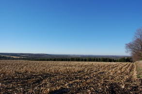 Scenic Land Uxbridge, Uxbridge - Country homes for sale and luxury real estate including horse farms and property in the Caledon and King City areas near Toronto