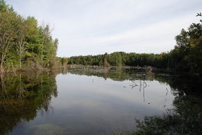 Upper Pond - Country homes for sale and luxury real estate including horse farms and property in the Caledon and King City areas near Toronto