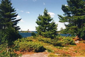 View to the North from the north side of the island - Country homes for sale and luxury real estate including horse farms and property in the Caledon and King City areas near Toronto
